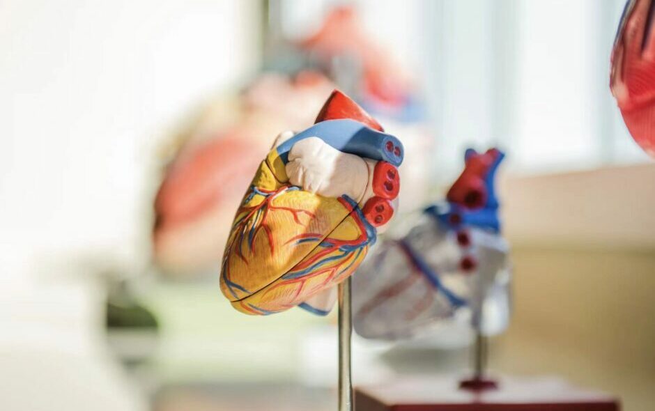 Qiming, LAV co-lead $100m Series C in medical devices maker Pulnovo