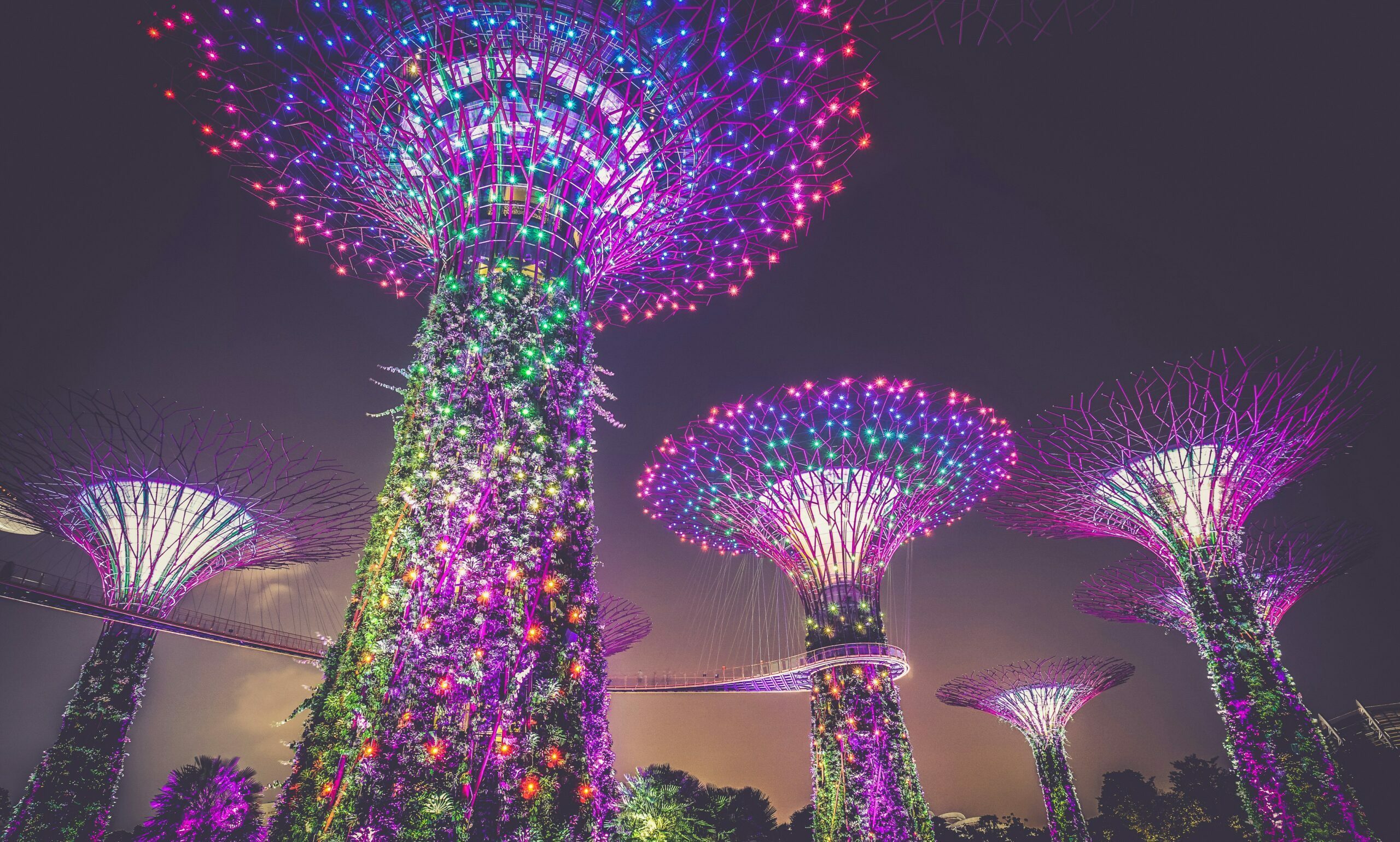 SE Asia Deal Review: Startup funding nearly halves in June on megadeal drought