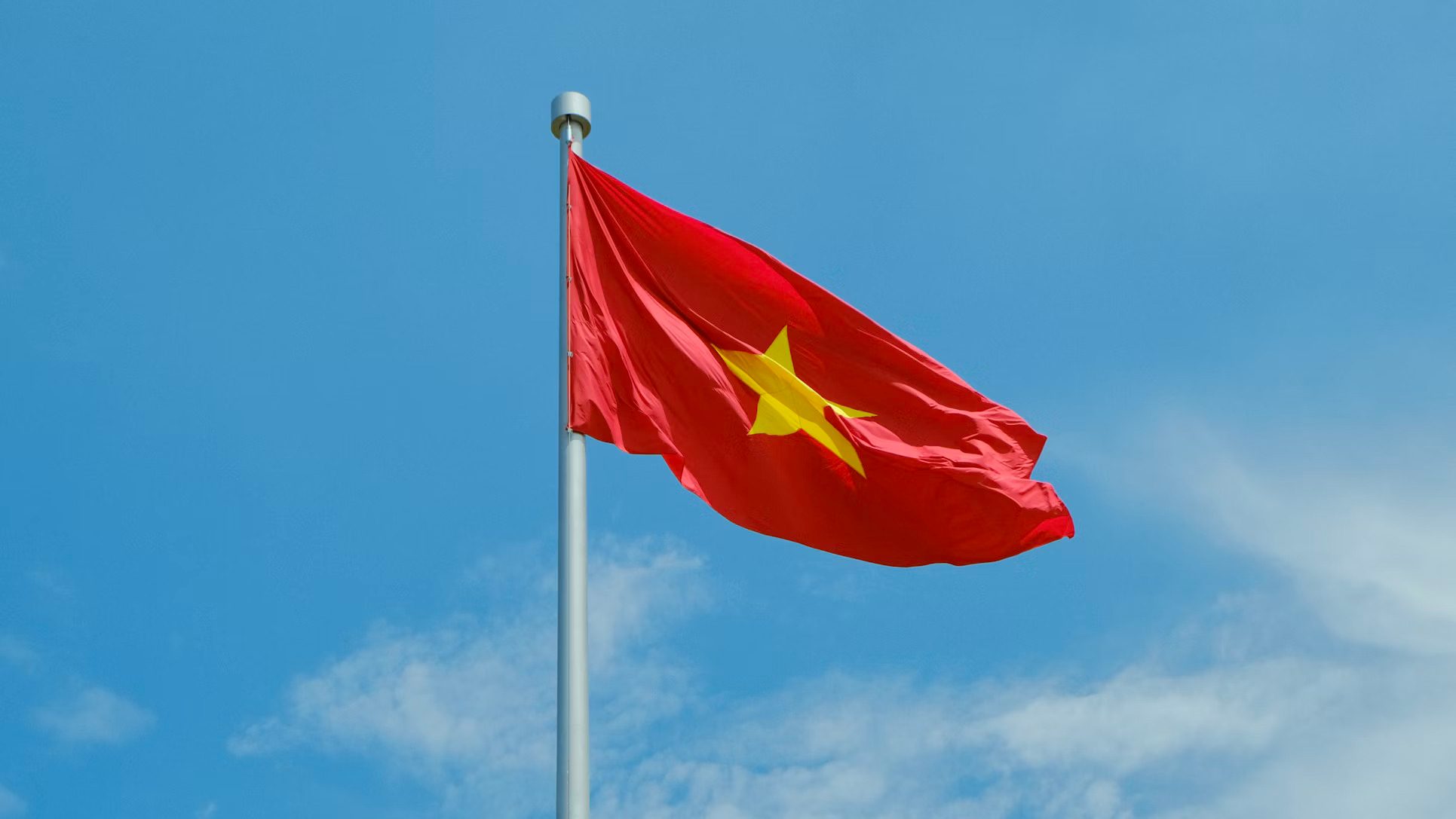 Vietnam's Tasco aims to set up CVC arm to invest in startups