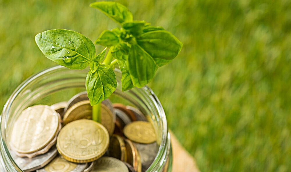 India: Robotics startup Haber raises $44m led by Creaegis, BEENEXT, Accel